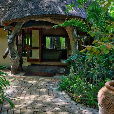 Royal Tree Lodge Maun Eksteriør billede