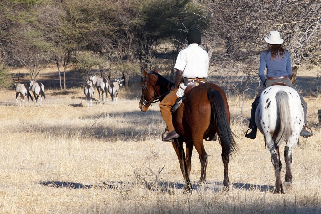 Royal Tree Lodge Maun Eksteriør billede