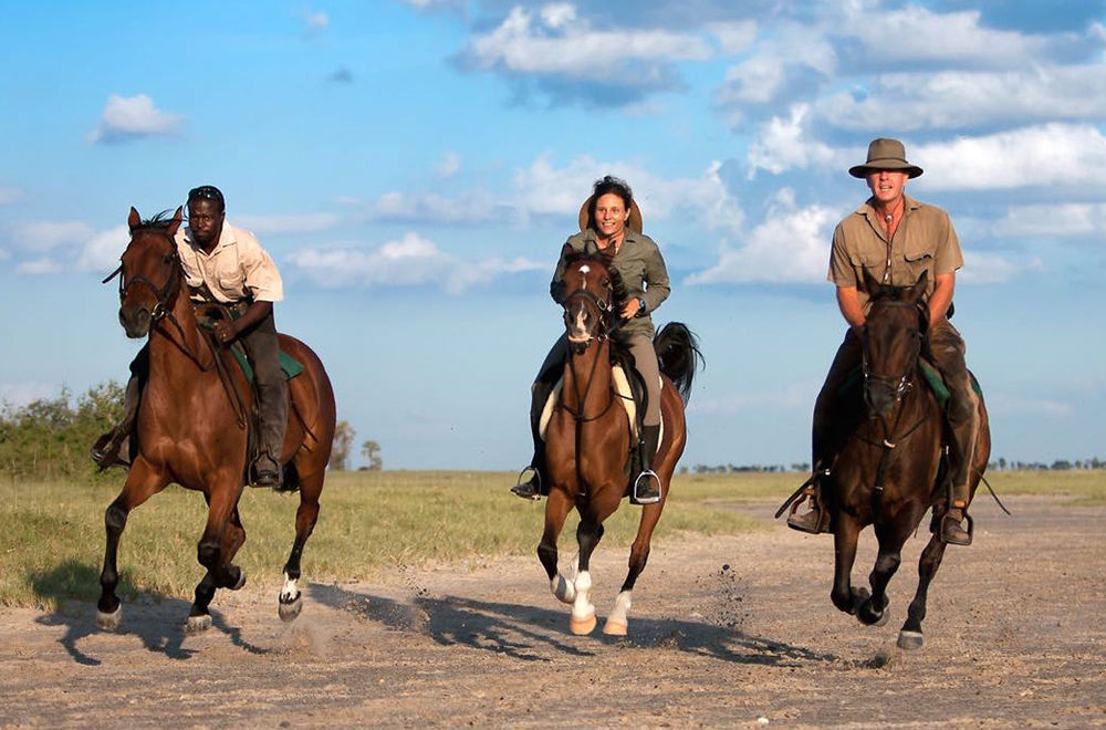 Royal Tree Lodge Maun Eksteriør billede