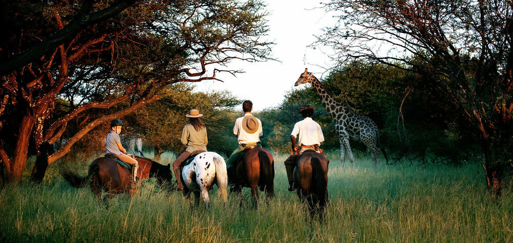 Royal Tree Lodge Maun Eksteriør billede