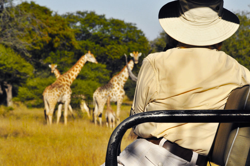 Royal Tree Lodge Maun Eksteriør billede