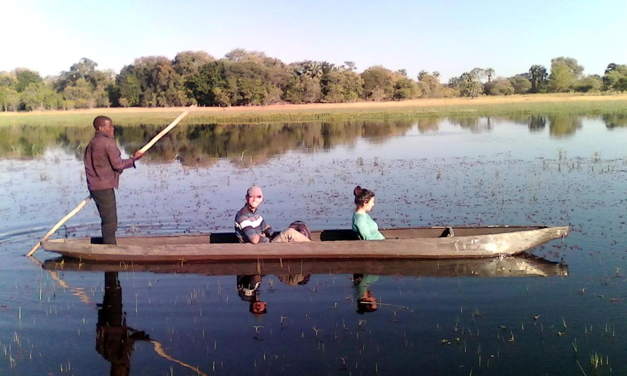 Royal Tree Lodge Maun Eksteriør billede